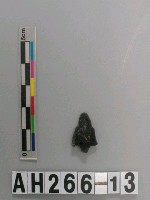 藏品(帶鋌打製石鏃)的圖片